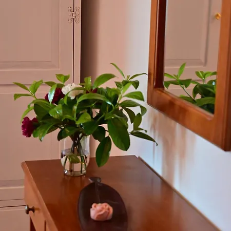 Efterpi * 库托卡利恩