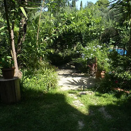 Efterpi * Контокали
